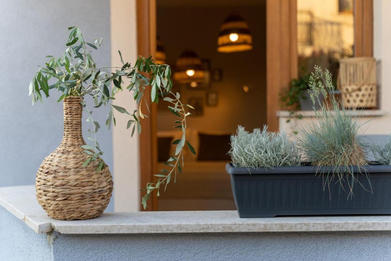Apartments Alloro By Seeadria Agency Novigrad  Bagian luar foto