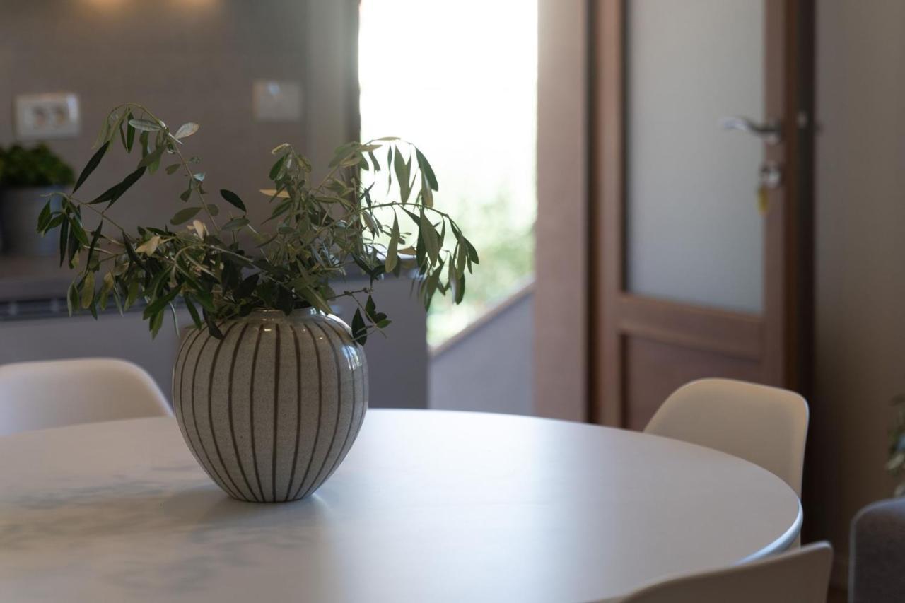 Apartments Alloro By Seeadria Agency Novigrad  Bagian luar foto